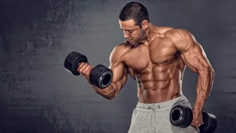 Strong Foundations for Strength: How Vitamins Support Muscle Mass
