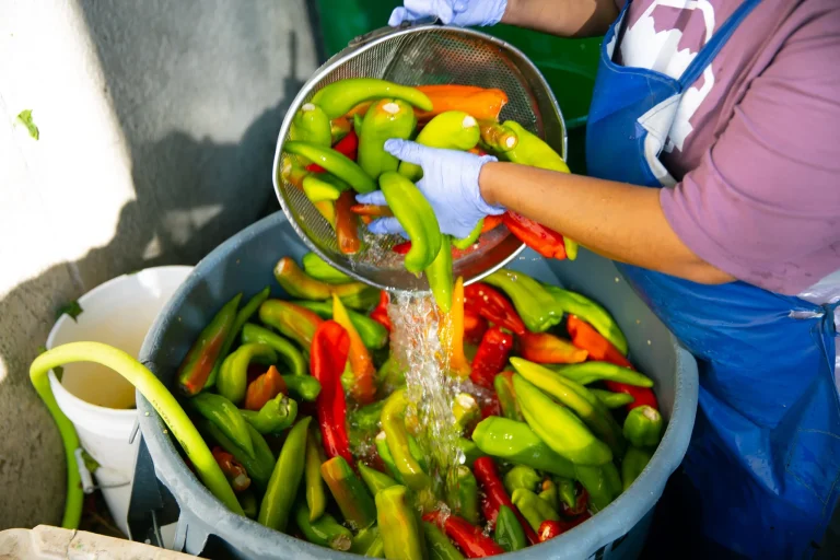 What Is Hatch Chile and Why Is It a Culinary Favorite?