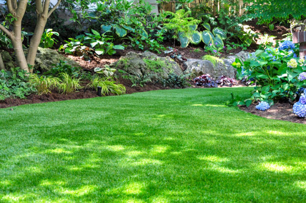How to Choose Between Buffalo and Kikuyu Grass from Perth Turf Experts?